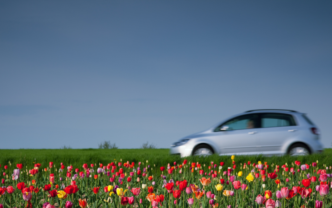 Spring Into Action! Ready Your Car for Comfort After Winter