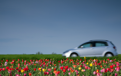 Spring Into Action! Ready Your Car for Comfort After Winter