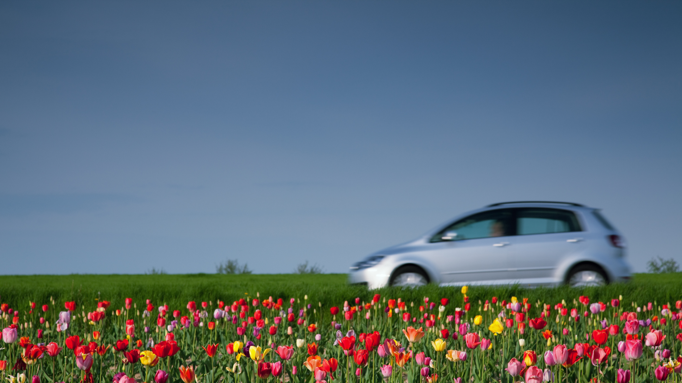 Spring car Service